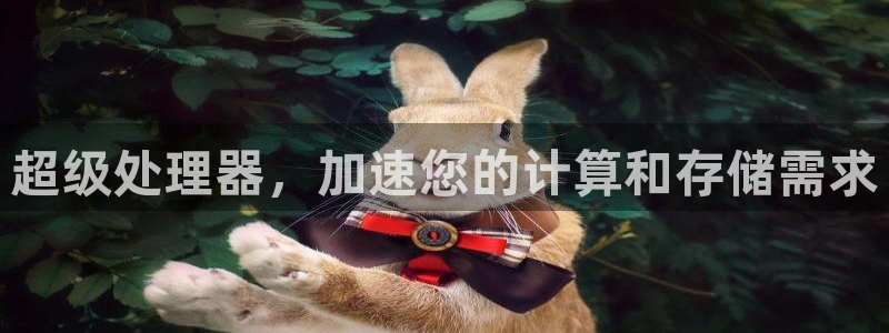 壹号平台下载：超级处理器，加速您的计算和存储需求