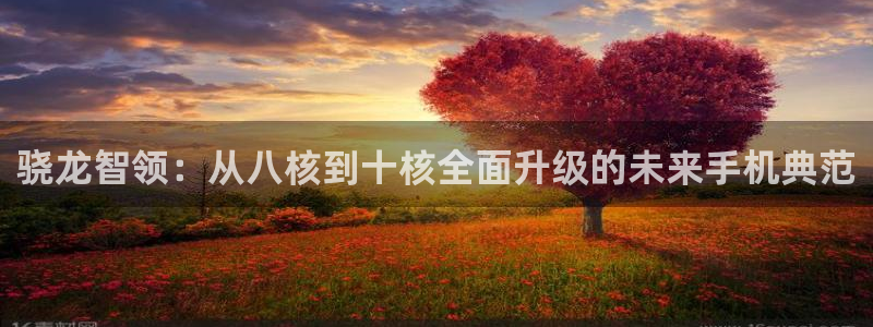 新航娱乐app：骁龙智领：从八核到十核全面升级的未来手机典范