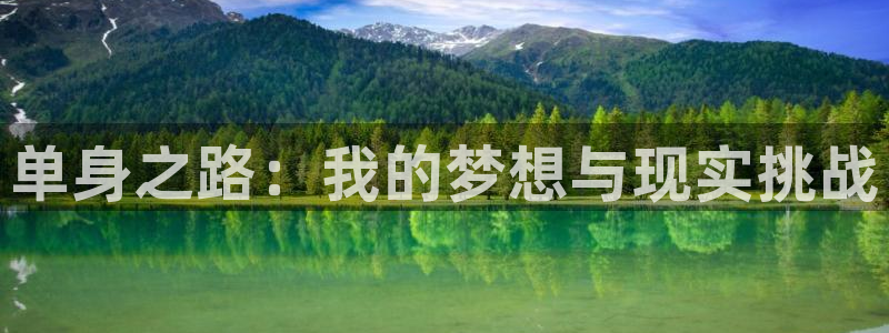 壹号玩家app下载：单身之路：我的梦想与现实挑战