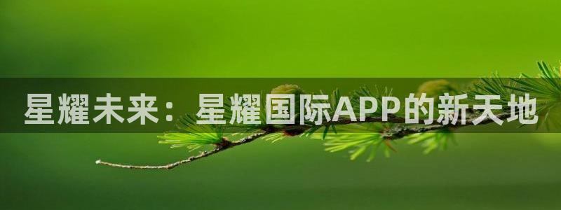 壹号电子娱乐app下载安装：星耀未来：星耀国际APP的新天地