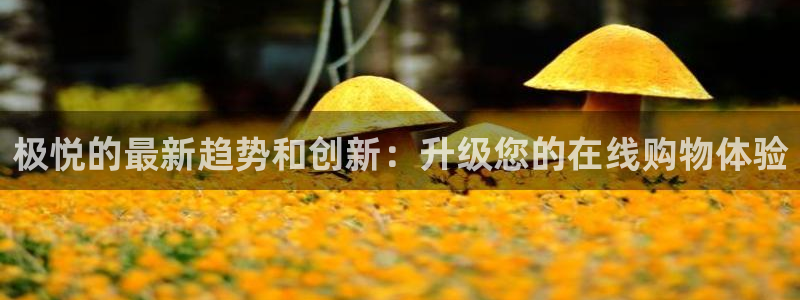 新航娱乐app下载安装最新版：极悦的最新趋势和创新：升级您的在线购物体验
