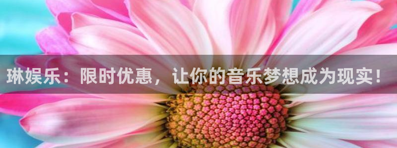壹号注册入口app下载：琳娱乐：限时优惠，让你的音乐梦想成为现实！