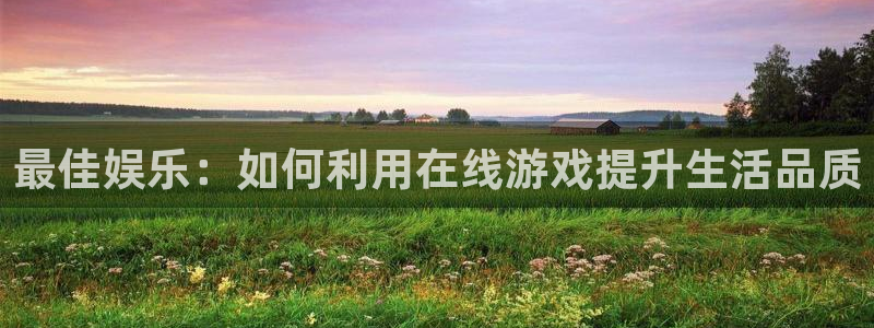 壹号电子娱乐app下载安装：最佳娱乐：如何利用在线游戏提升生活品质