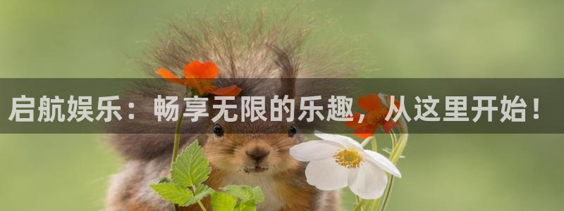 壹号大舞台官网：启航娱乐：畅享无限的乐趣，从这里开始！