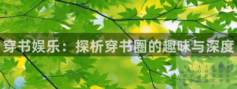 新航娱乐平台app下载：穿书娱乐：探析穿书圈的趣味与深度