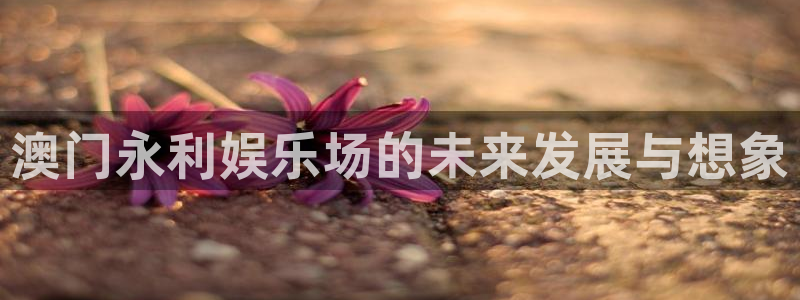 壹号电子娱乐app下载最新版本：澳门永利娱乐场的未来发展与想象
