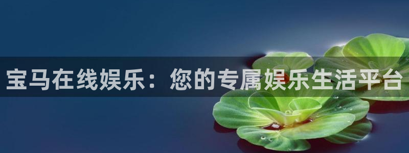 新航娱乐app入口：宝马在线娱乐：您的专属娱乐生活平台