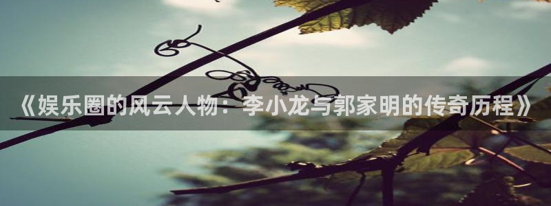 壹号平台下载安装：《娱乐圈的风云人物：李小龙与郭家明的传奇历程》