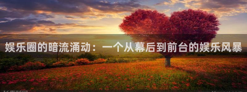 新航娱乐下载：娱乐圈的暗流涌动：一个从幕后到前台的娱乐风暴