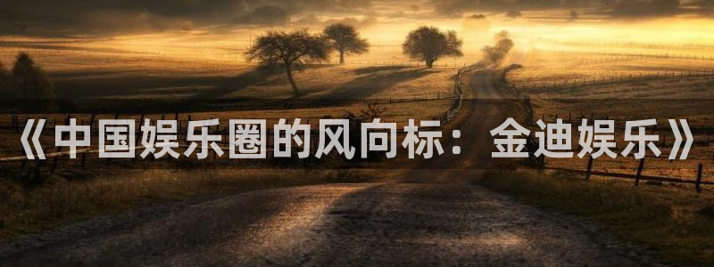 新航娱乐下载：《中国娱乐圈的风向标：金迪娱乐》