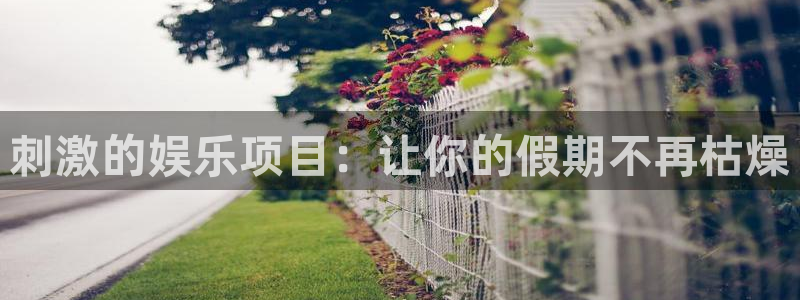 壹号电子娱乐app下载：刺激的娱乐项目：让你的假期不再枯燥