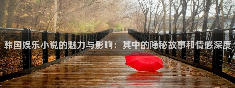 壹号大舞台娱乐传媒：韩国娱乐小说的魅力与影响：其中的隐秘故事和情感深度