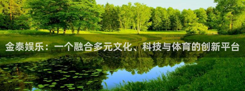 新航娱乐官网：金泰娱乐：一个融合多元文化、科技与体育的创新平台