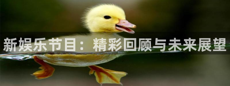 新航娱乐官网下载：新娱乐节目：精彩回顾与未来展望