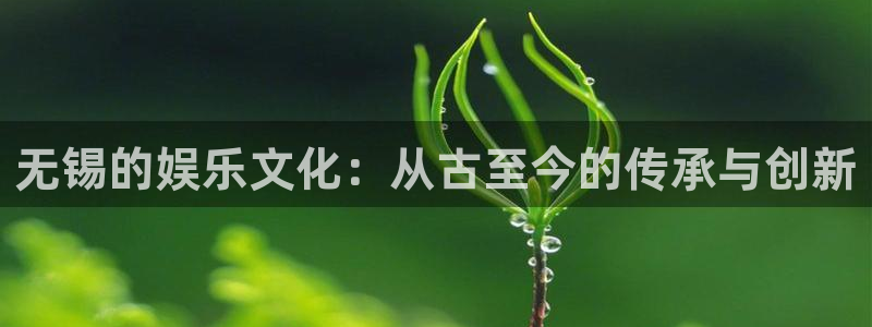 壹号大舞台怎么下载：无锡的娱乐文化：从古至今的传承与创新